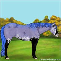 Horse Color:Watercolor Black Ice Splash 