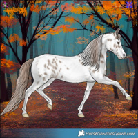 Horse Color:Liver Red Dun Sabino Tobiano Near Leopard 