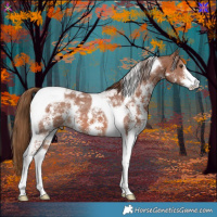 Horse Color:Chestnut Sabino Tobiano 