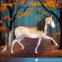 Horse Color:Bay Onyx Splash 
