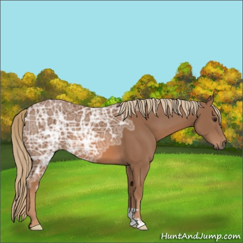 Horse Color:Chestnut Ice 