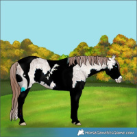 Horse Color:ERROR: UNKNOWN ANOMALY