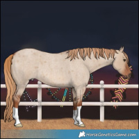 Horse Color:Red Dun Roan 