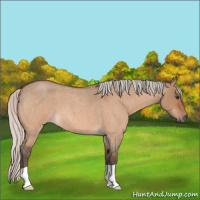 Horse Color:Silver Brown Roan Dun