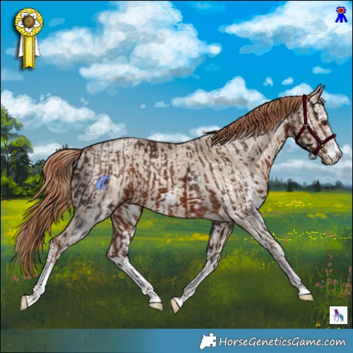 Horse Color:White Spotted Liver Chestnut  and White Spotted Red Dun Ice 
