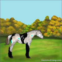 Horse Color:Liver Red Onyx Ice Tobiano 