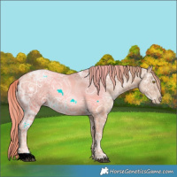 Horse Color:Chestnut Ice Pearl 