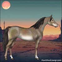 Horse Color:Liver Red Dun Rabicano Brindle