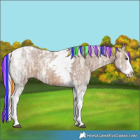 Horse Color:Painted Silver Bay Ice Dun Splash Tobiano 