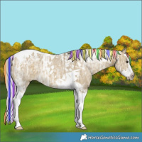 Horse Color:Painted Silver Buckskin Ice Dun Splash Tobiano 