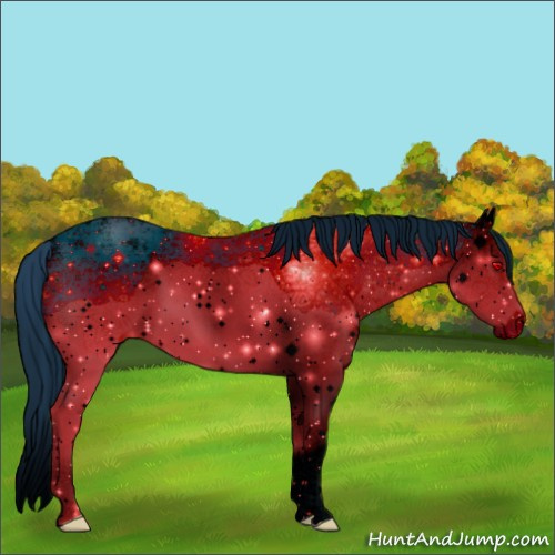 Horse Color:ERROR: UNKNOWN ANOMALY