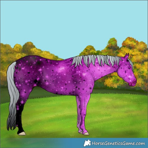 Horse Color:ERROR: UNKNOWN ANOMALY