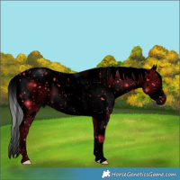 Horse Color:ERROR: UNKNOWN ANOMALY