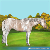 Horse Color:Silver Bay Ice Dun Tobiano 