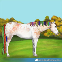 Horse Color:Painted Buckskin Ice Onyx Splash Tobiano