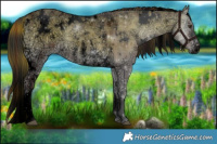 Horse Color:Void Plaid  White Spotted Liver Red Dun Ice Onyx Sabino 