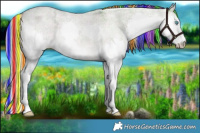 Horse Color:Painted Plaid  Liver Red Dun Ice Roan Splash 