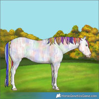 Horse Color:Painted Nacre Perlino Ice Onyx Rabicano 