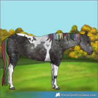 Horse Color:Painted Nacre Midnight Brown Ice Dun Tobiano 