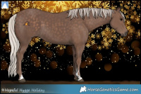 Horse Color:Silver Black Sabino 