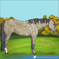 Horse Color:Painted Smoky Grullo Ice Sabino Tobiano 