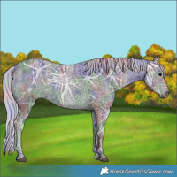 Horse Color:Nacre Silver Black Ice 