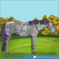 Horse Color:Painted Black Ice 