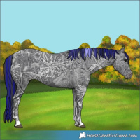 Horse Color:Painted Black Ice Tobiano