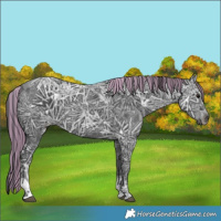 Horse Color:Painted Black Ice Tobiano 
