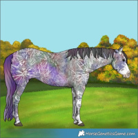 Horse Color:Nacre Black Ice Splash 