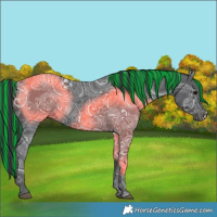 Horse Color:Painted Black Ice 