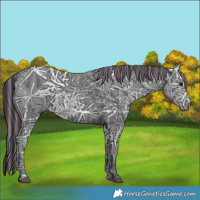 Horse Color:Painted Black Ice 