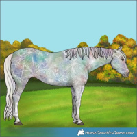 Horse Color:Nacre Silver Black Ice Tobiano 