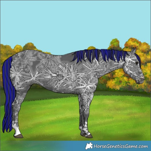 Horse Color:Painted Black Ice 