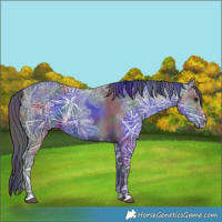 Horse Color:Nacre Black Ice 