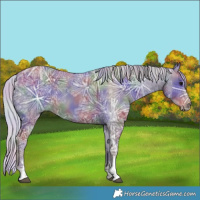 Horse Color:Nacre Silver Black Ice Tobiano 