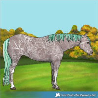 Horse Color:Painted Silver Black Ice Tobiano 