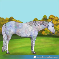 Horse Color:Nacre Silver Black Ice Tobiano 
