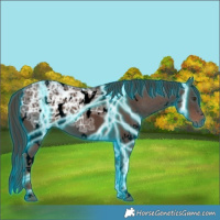 Horse Color:Void Thunderstruck White Spotted Liver Chestnut Ice 