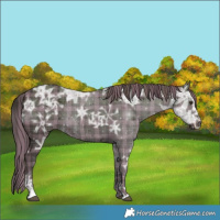 Horse Color:Plaid  Liver Chestnut Ice Sabino 