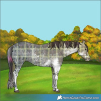 Horse Color:Plaid  Liver Chestnut Ice Sabino 