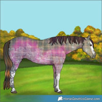 Horse Color:Plaid  White Spotted Liver Chestnut Ice 