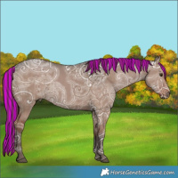 Horse Color:Painted Liver Red Dun Ice Sabino 
