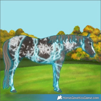Horse Color:Thunderstruck Liver Chestnut Ice Sabino 