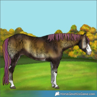Horse Color:Painted Liver Red Onyx Ice Sabino 