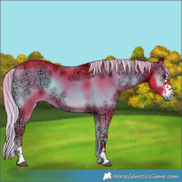 Horse Color:Watercolor Liver Red Onyx Ice Sabino 