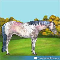 Horse Color:Painted Liver Red Onyx Ice Tobiano 