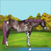 Horse Color:Painted Liver Red Onyx Ice Tobiano 