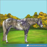 Horse Color:Watercolor Liver Red Onyx Ice Tobiano 