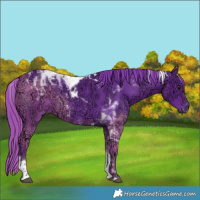 Horse Color:Watercolor Liver Chestnut Ice Tobiano 